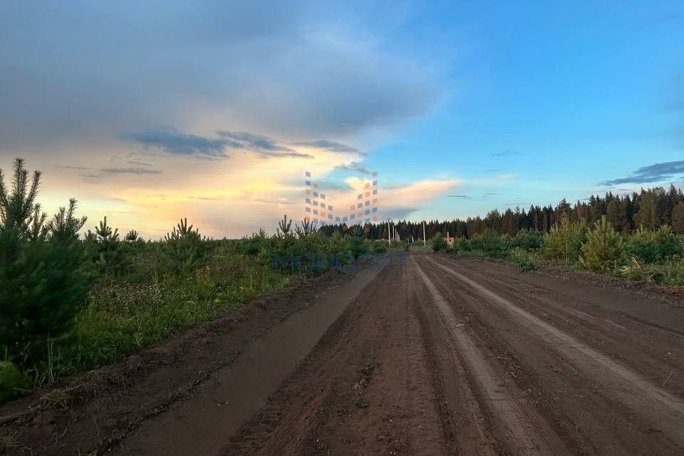 земля р-н Верхошижемский фото 2