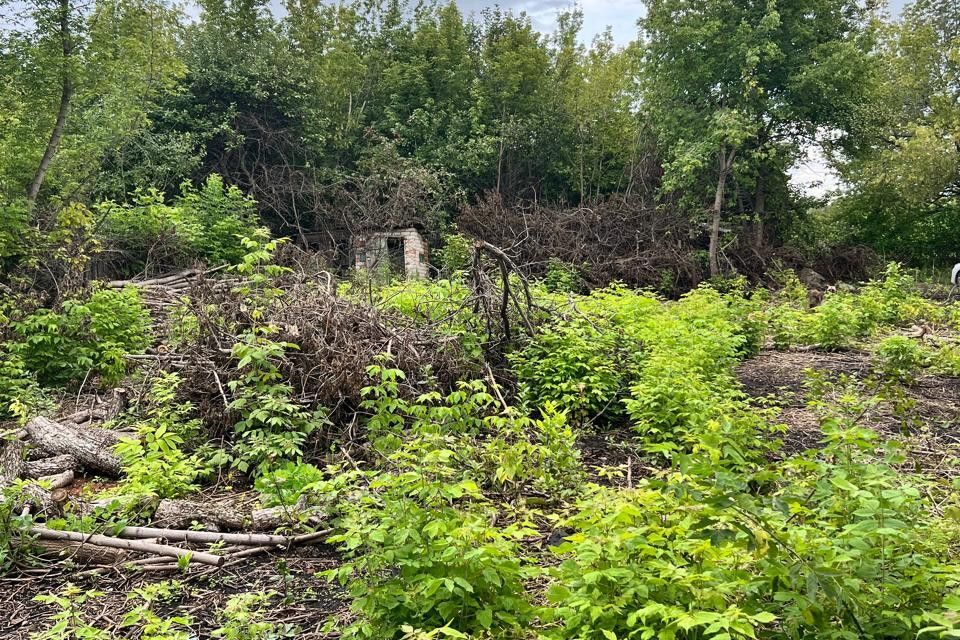 земля г Стерлитамак СНТ Дружба, городской округ Стерлитамак фото 2