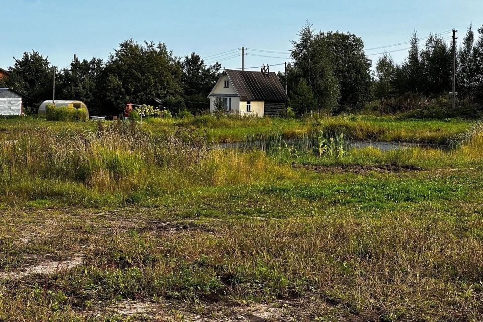 земля р-н Великоустюгский село Васильевское фото 2