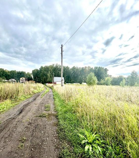 земля р-н Кемеровский Кемеровская область — Кузбасс, посёлок Мамаевский фото 3