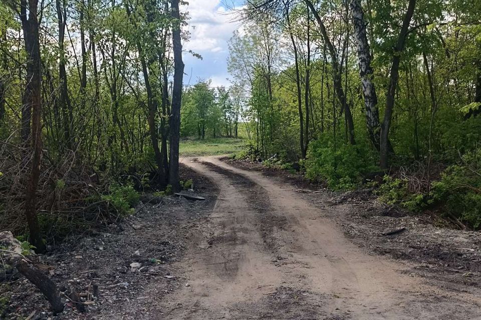 земля р-н Бессоновский село Бессоновка фото 4