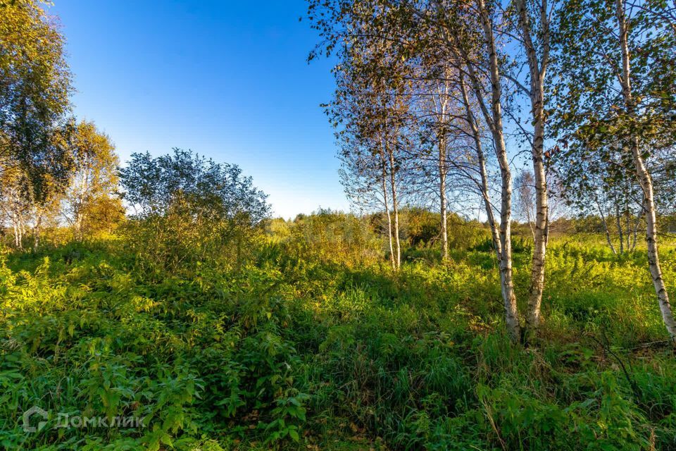 земля г Тюмень городской округ Тюмень, СНТ Облепиховое фото 4