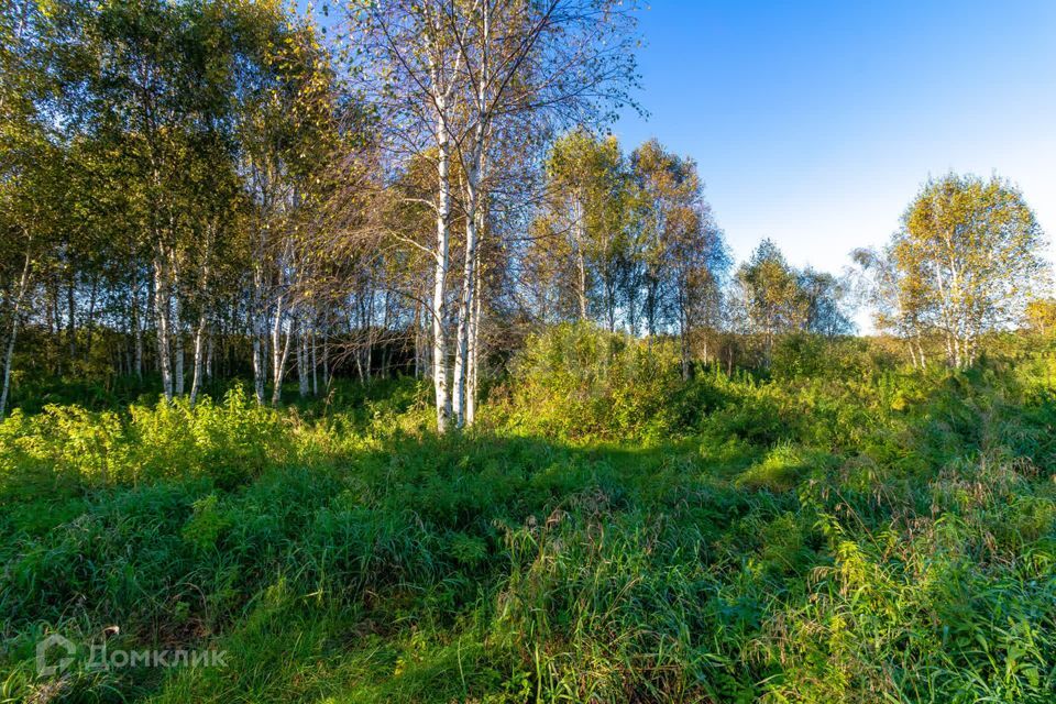 земля г Тюмень городской округ Тюмень, СНТ Облепиховое фото 3