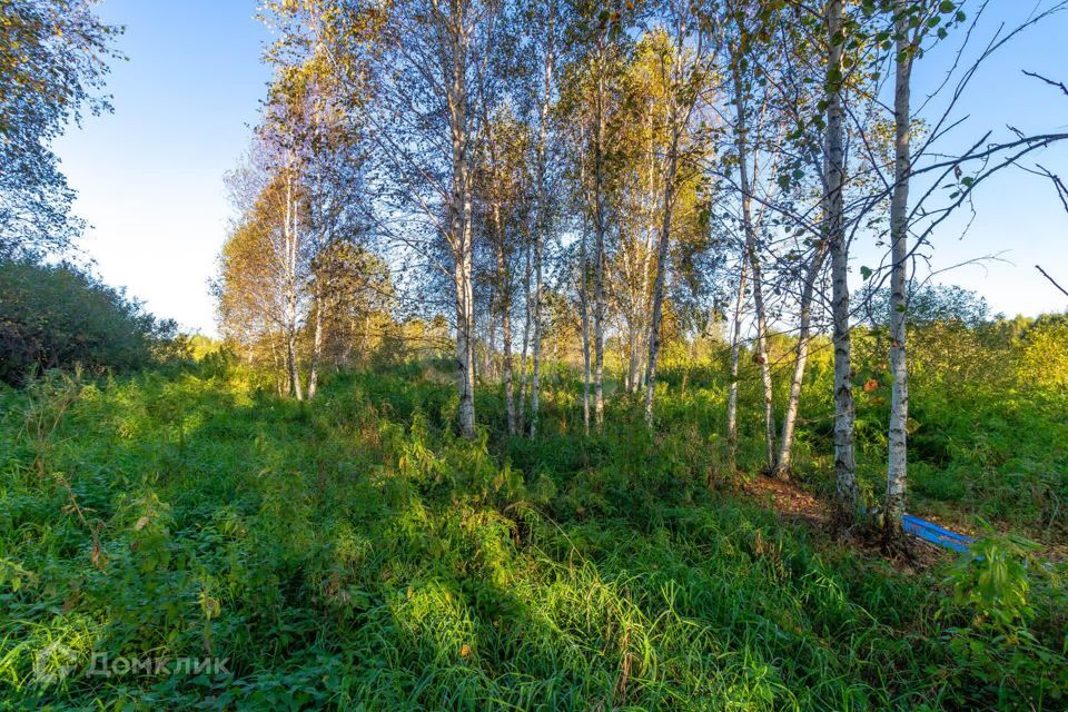 земля г Тюмень городской округ Тюмень, СНТ Облепиховое фото 3