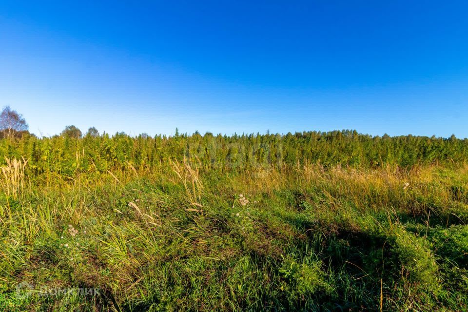 земля г Тюмень городской округ Тюмень, СНТ Облепиховое фото 4