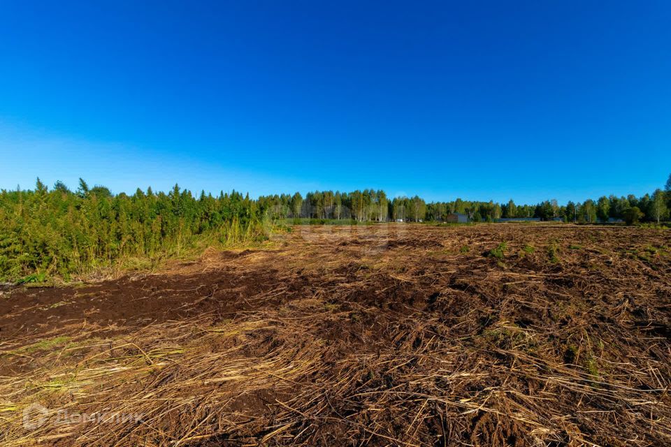 земля г Тюмень городской округ Тюмень, СНТ Облепиховое фото 4