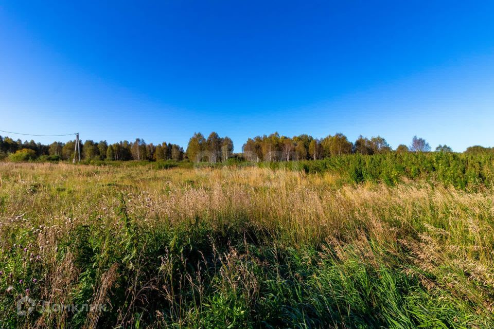 земля г Тюмень городской округ Тюмень, СНТ Облепиховое фото 4