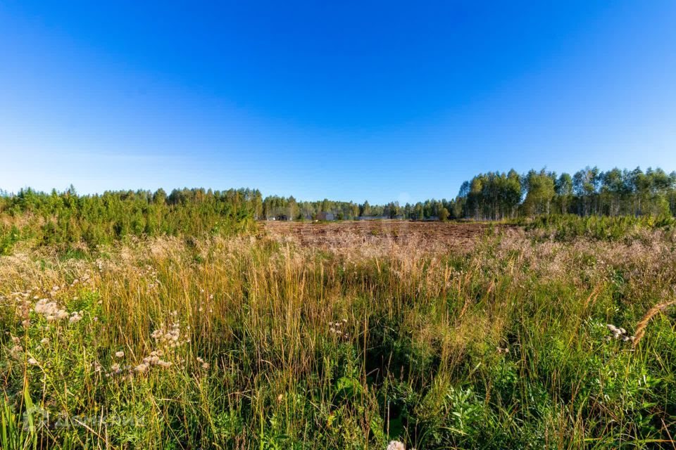 земля г Тюмень городской округ Тюмень, СНТ Облепиховое фото 3