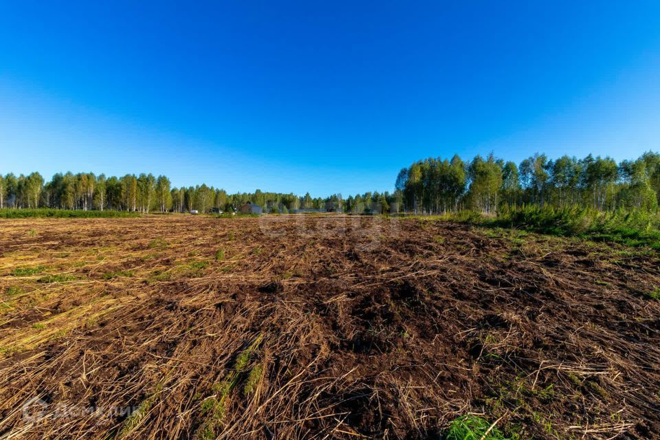 земля г Тюмень городской округ Тюмень, СНТ Облепиховое фото 3