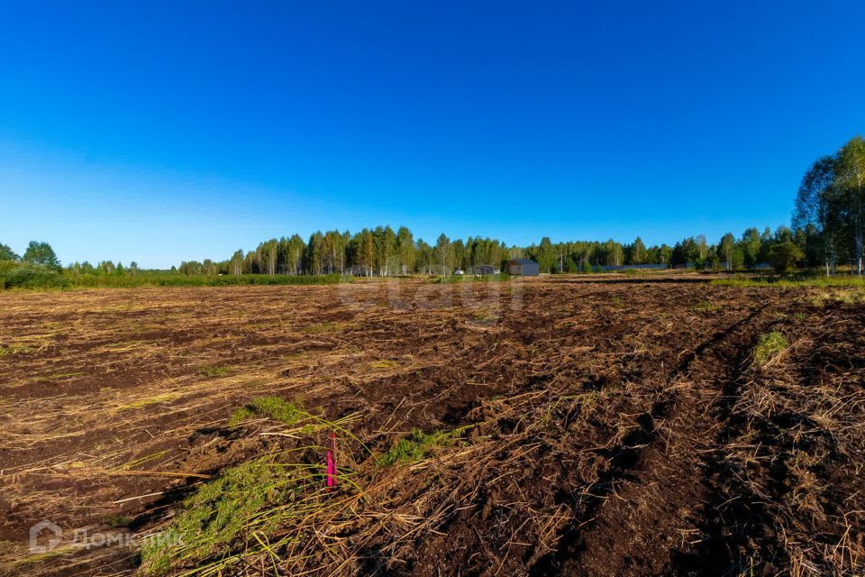 земля г Тюмень городской округ Тюмень, СНТ Облепиховое фото 3