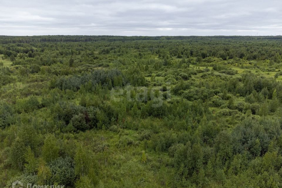 земля р-н Нижнетавдинский фото 3