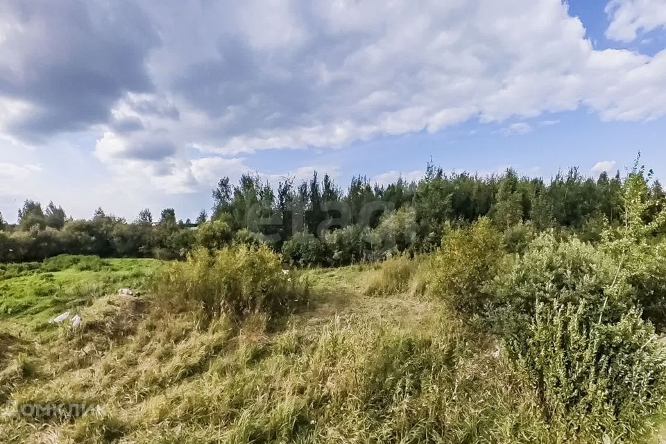 земля г Тюмень снт Поляна ул Вишневая городской округ Тюмень фото 9