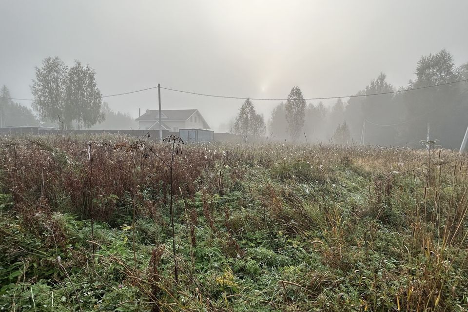 земля р-н Александровский фото 5