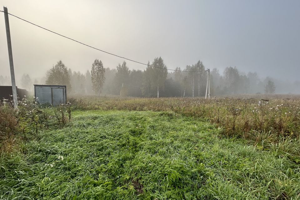 земля р-н Александровский фото 6