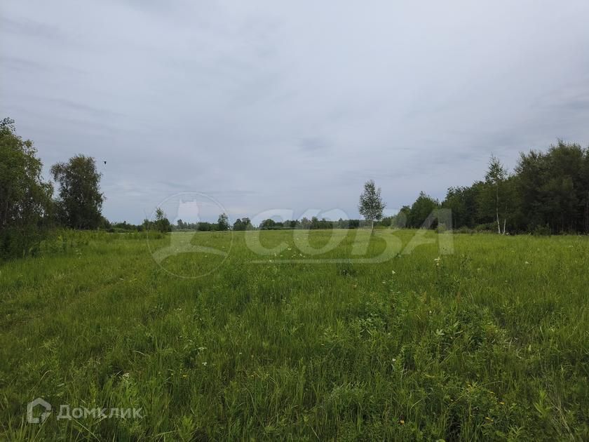 земля г Тюмень снт Агросад-Тюмень городской округ Тюмень фото 5