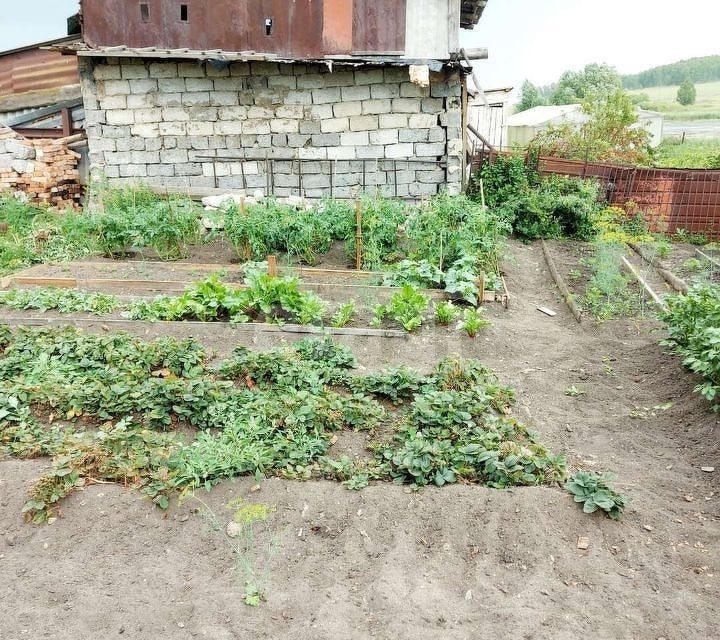 дом г Чебаркуль ул Ленина Чебаркульский городской округ фото 5