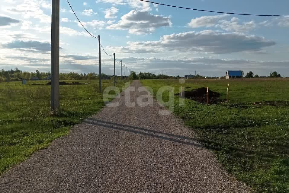 земля р-н Данковский с Барятино ул Центральная фото 5