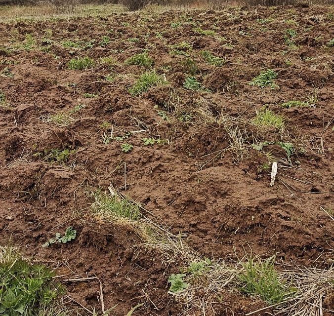 земля г Краснокамск д Большая ул Садовая Краснокамский городской округ фото 10