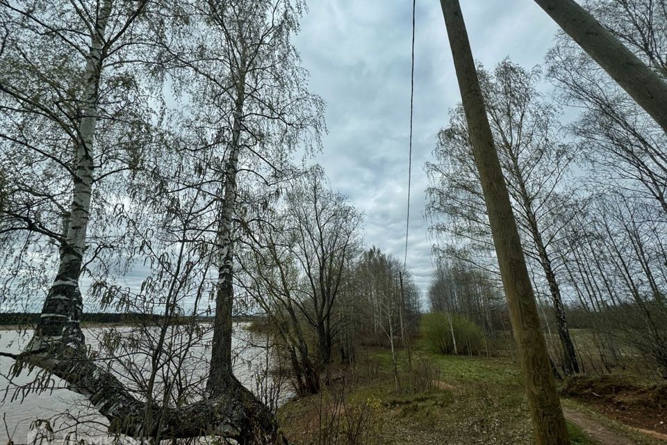 земля г Краснокамск д Клепики ул Льва Давыдычева Краснокамский городской округ фото 7