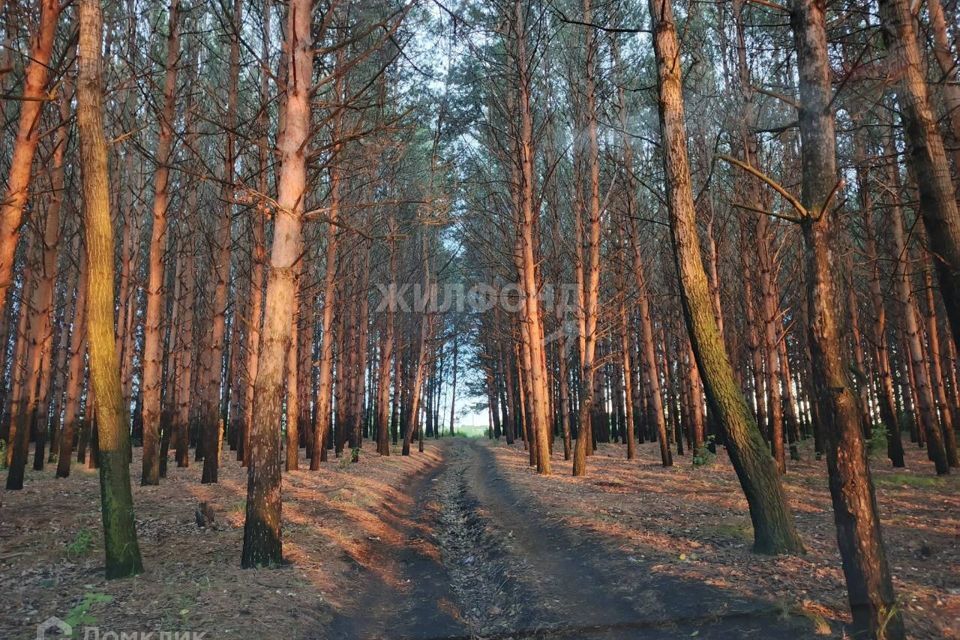 дом р-н Искитимский с Быстровка ул Партизанская фото 6