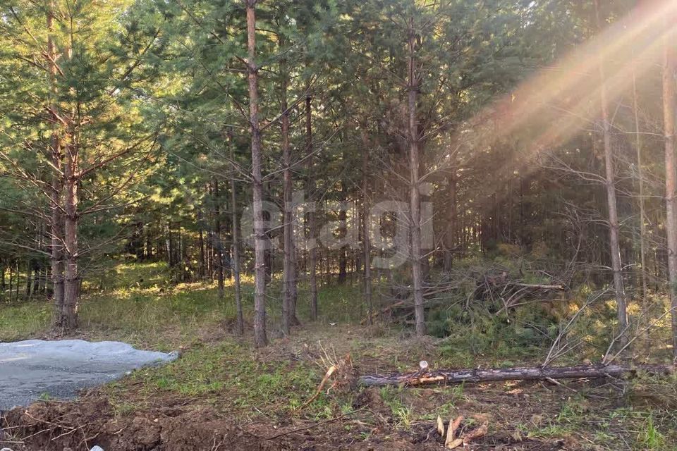 земля г Екатеринбург Екатеринбург городской округ, Лесная поляна фото 6