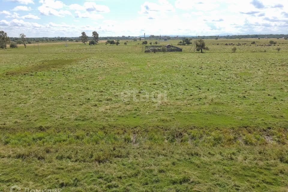 земля р-н Хабаровский село Восточное фото 8