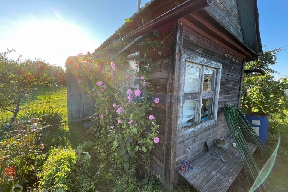 земля р-н Городецкий г Городец садоводческое товарищество Виктория фото 5