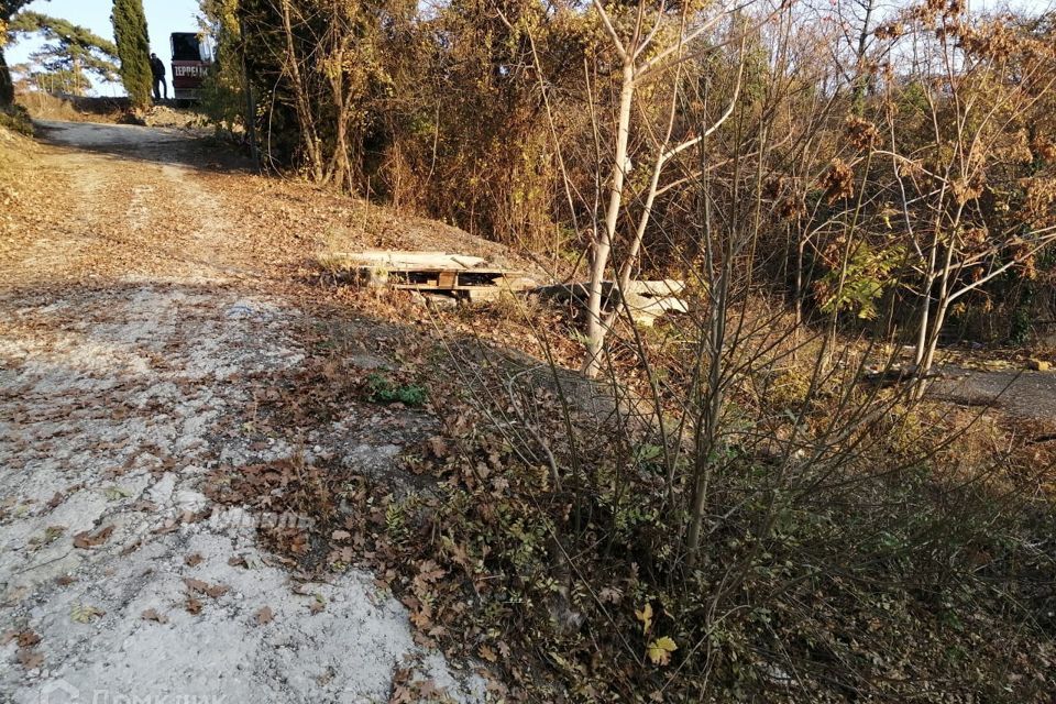 земля городской округ Ялта, посёлок городского типа Отрадное фото 8