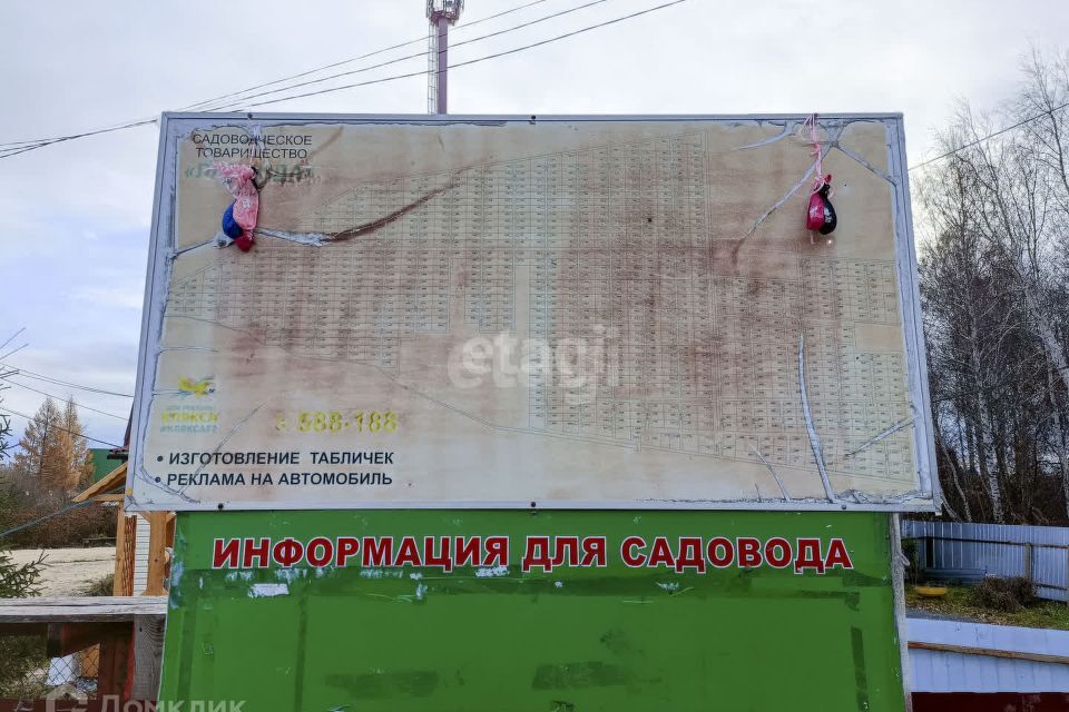 земля г Тюмень днт Березка-3 городской округ Тюмень, 16-я Берёзка-3 с/о фото 8