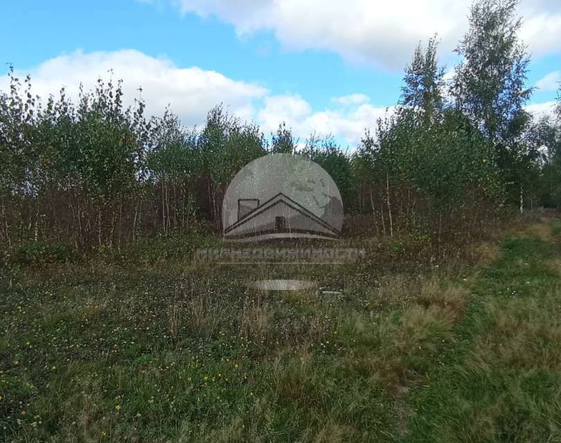 земля р-н Новгородский деревня Медвежья Голова фото 6