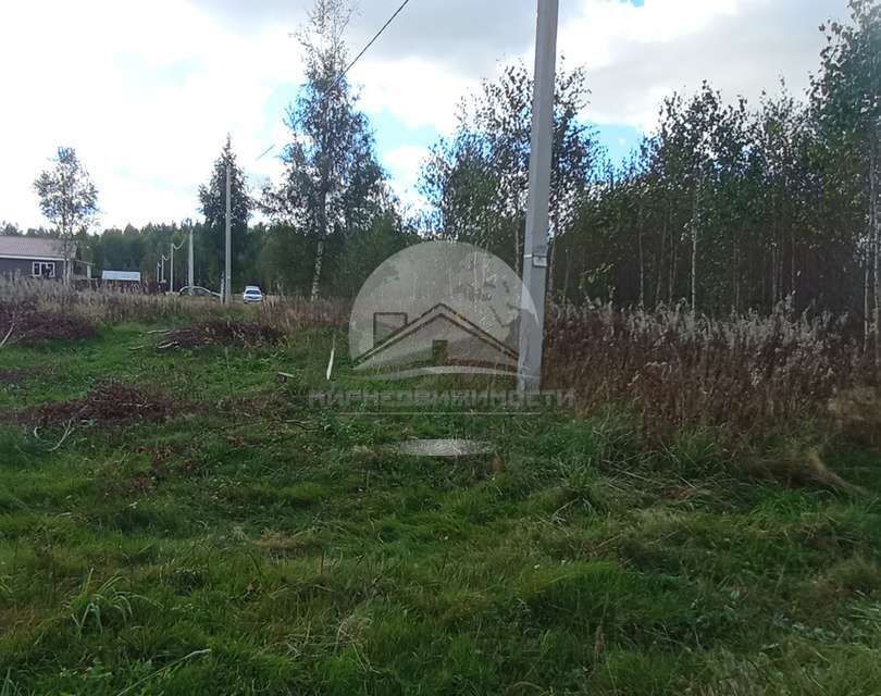 земля р-н Новгородский деревня Медвежья Голова фото 7