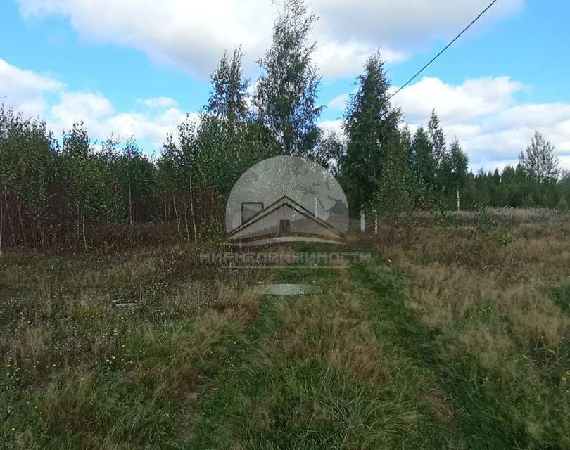 земля р-н Новгородский деревня Медвежья Голова фото 9