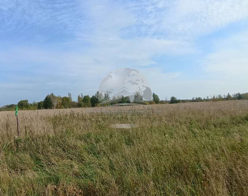 земля р-н Новгородский деревня Кирилловка фото 8