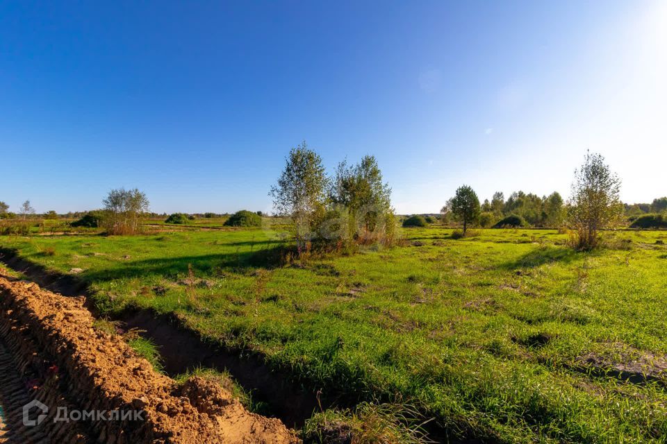 земля р-н Нижнетавдинский СНТ Сундукуль фото 7