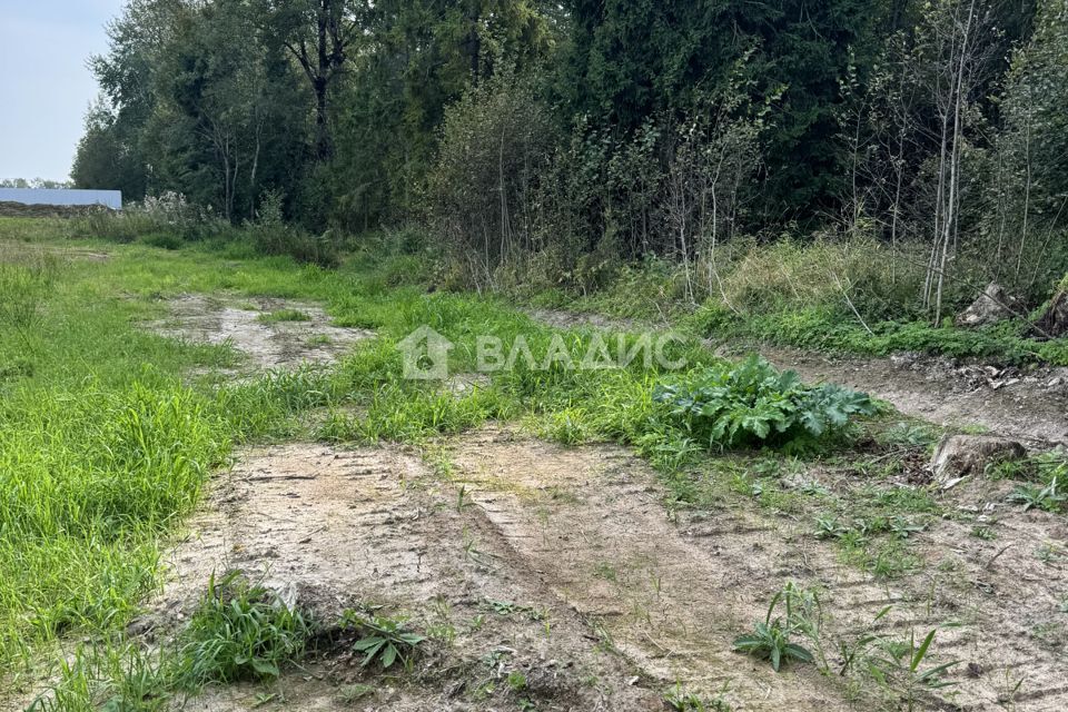 земля р-н Вологодский Васильевское фото 6