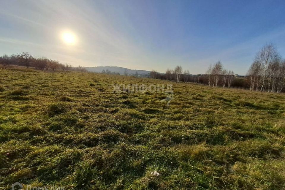 земля р-н Новокузнецкий с Куртуково ул Подгорная 1 Кемеровская область — Кузбасс фото 6