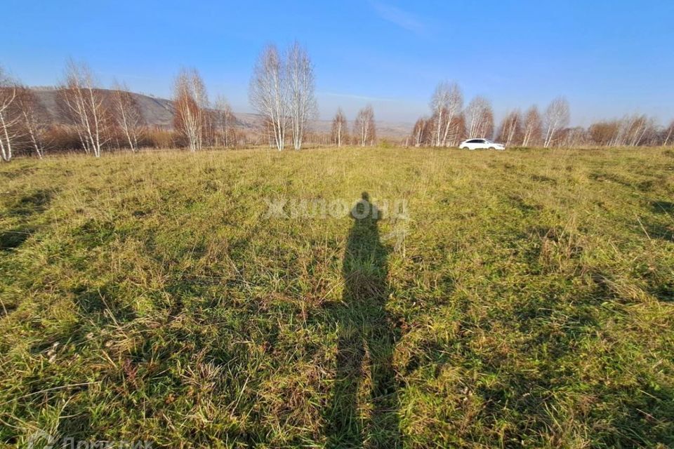 земля р-н Новокузнецкий с Куртуково ул Подгорная 1 Кемеровская область — Кузбасс фото 8