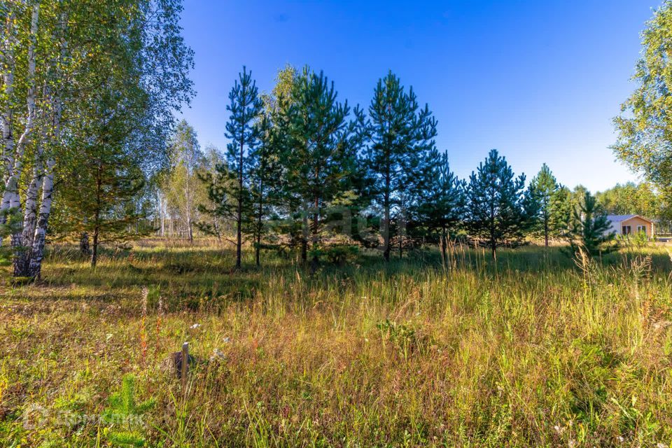 земля г Тюмень городской округ Тюмень, СНТ Облепиховое фото 7