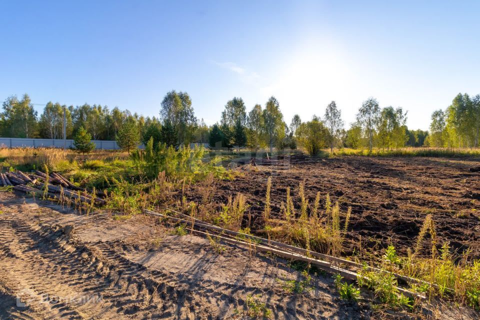 земля г Тюмень городской округ Тюмень, СНТ Облепиховое фото 5