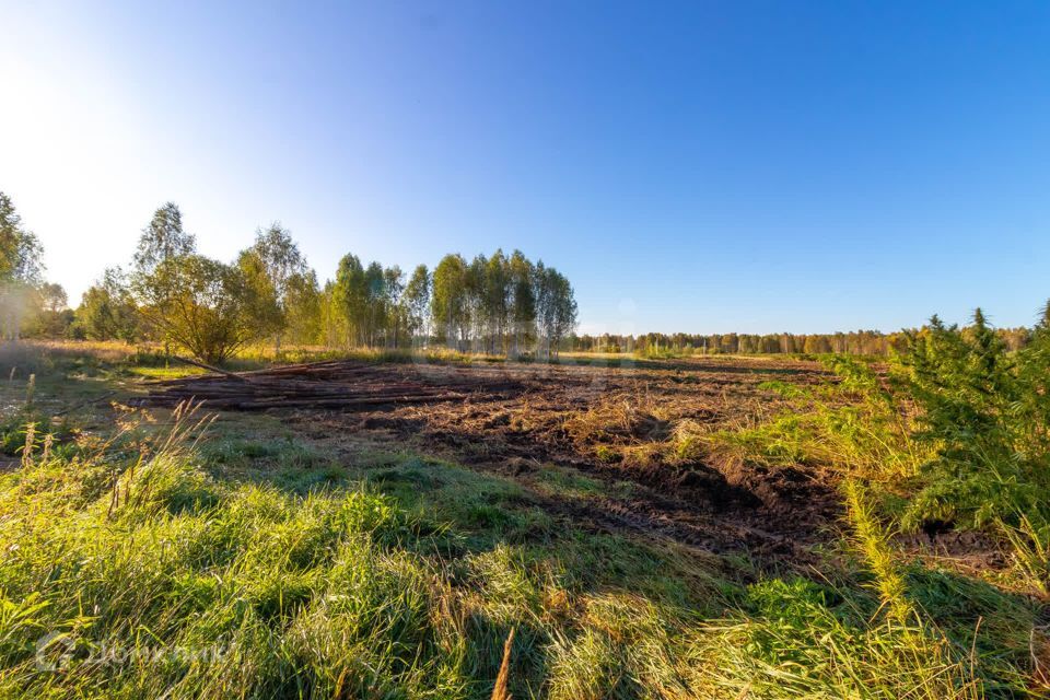 земля г Тюмень городской округ Тюмень, СНТ Облепиховое фото 6