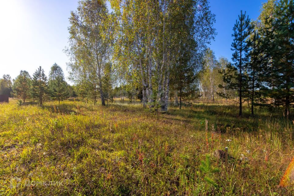 земля г Тюмень городской округ Тюмень, СНТ Облепиховое фото 6