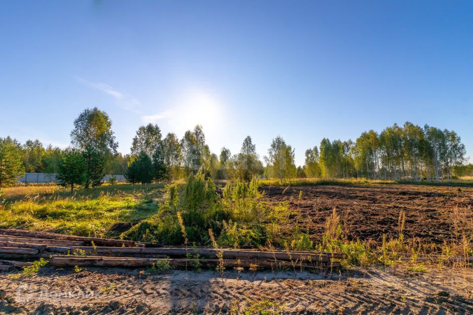 земля г Тюмень городской округ Тюмень, СНТ Облепиховое фото 7