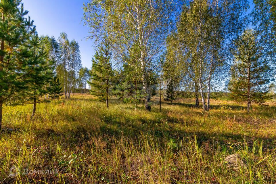 земля г Тюмень городской округ Тюмень, СНТ Облепиховое фото 10