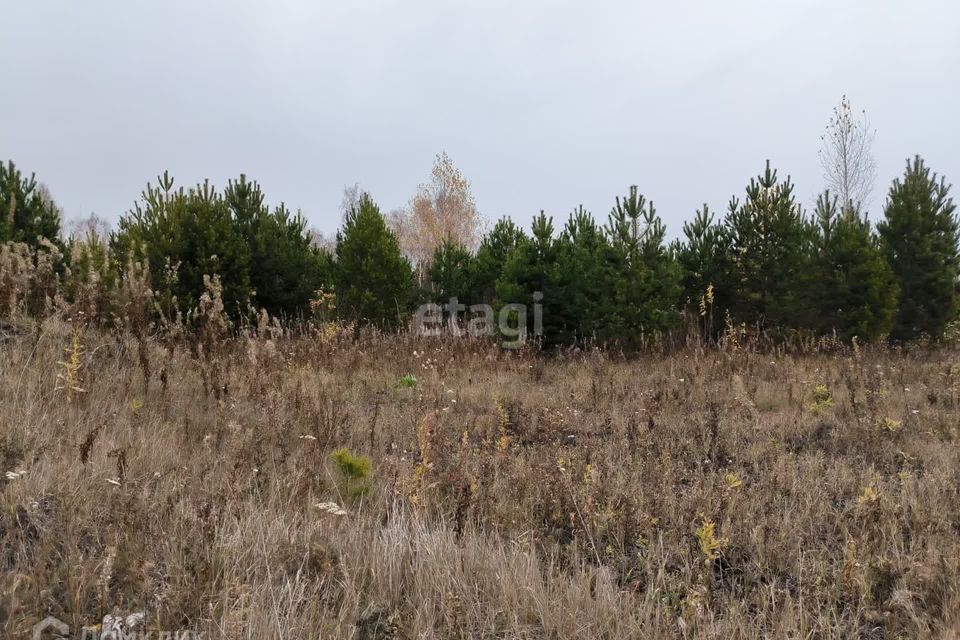 земля р-н Тюменский ДПК Новокаменский, Коттеджный посёлок Новокаменский фото 8