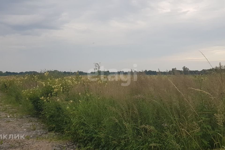 земля р-н Багратионовский г Багратионовск фото 6