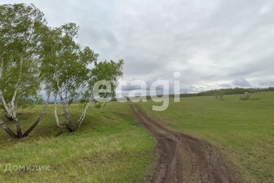 земля г Красноярск ул Петра Подзолкова 3 городской округ Красноярск фото 6