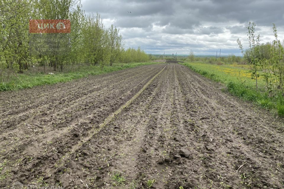 дом р-н Путятинский с Береговое ул Центральная 82 фото 9