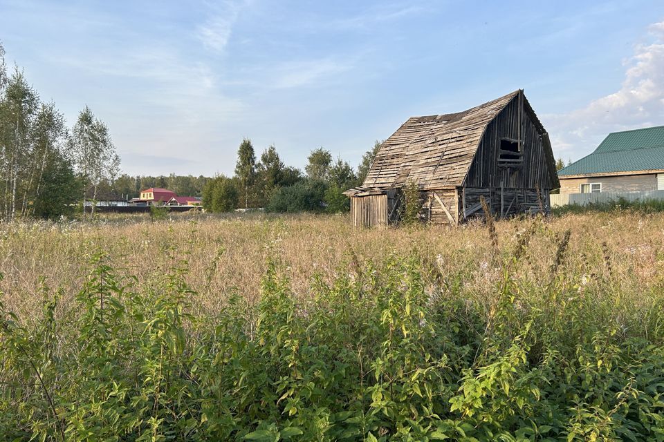 земля р-н Александровский деревня Елькино фото 10