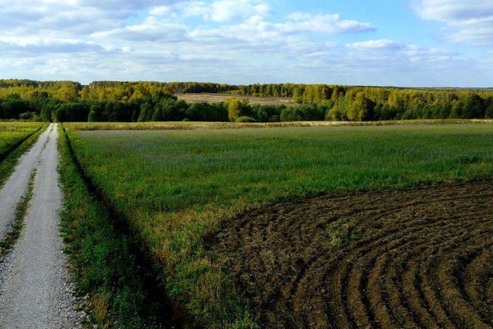 земля р-н Заокский деревня Нечаево фото 10