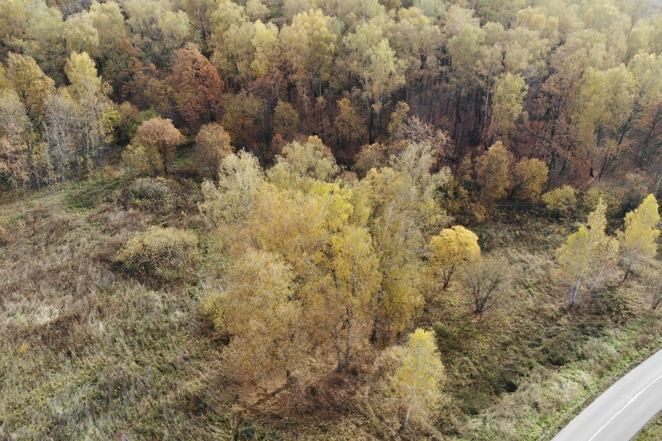 земля р-н Заокский СНТ Земляничное фото 10